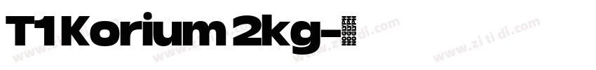 T1 Korium 2kg字体转换